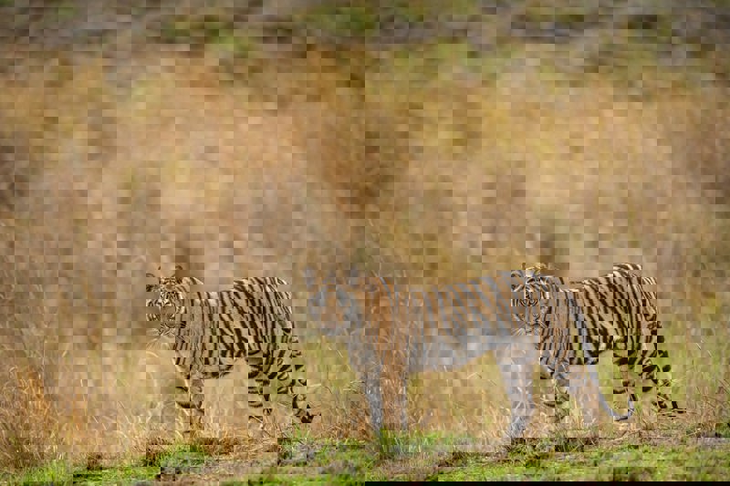 ΚΑΤΖΟΥΡΑΧΟ (ξενάγηση) – Εκδρομή στα γύρω χωριά – ΕΘΝΙΚΟ ΠΑΡΚΟ ΠΑΝΝΑ 