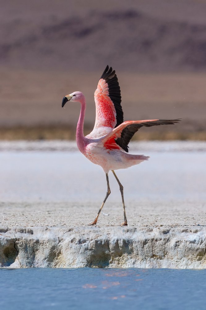 Διαμονή 4* με ημιδιατροφή