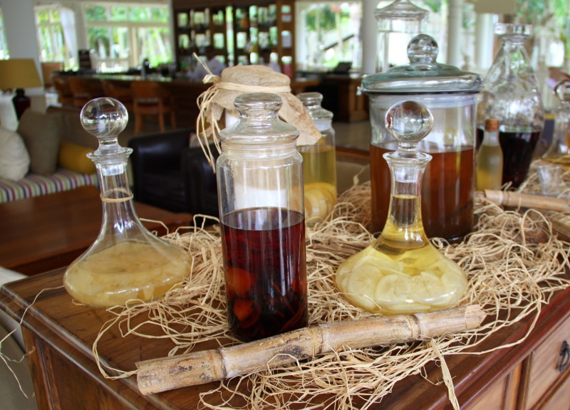 Επίσκεψη στο αποστακτήριο Bacardi