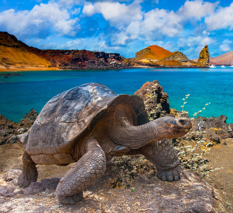 Κάνουμε εξερευνητικές κρουαζιέρες στα Γκαλάπαγκος 