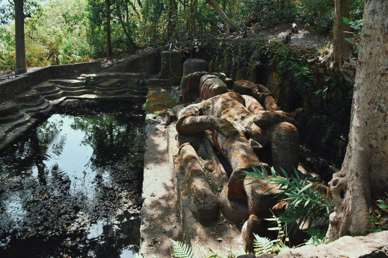 Απογευματινό σαφάρι στο Εθνικό Πάρκο Bandhavgarh