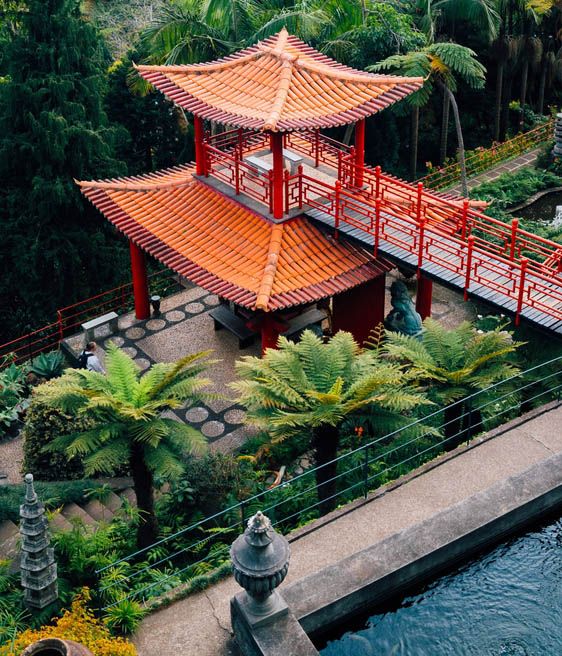 Ανάβαση στο Μόντε με τελεφερίκ 