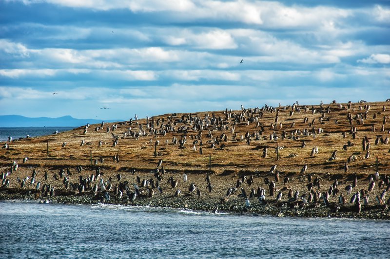ΠΟΥΝΤΑ ΑΡΕΝΑΣ – ΙΣΛΑ ΜΑΓΚΝΤΑΛΕΝΑ – ΠΟΥΕΡΤΟ ΝΑΤΑΛΕΣ 