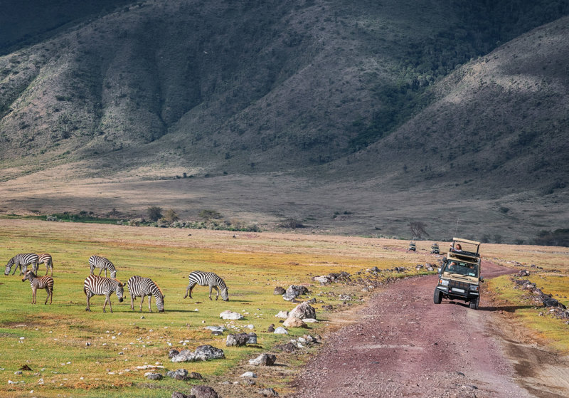 Σαφάρι στο Νγκορονγκόρο, Τανζανία