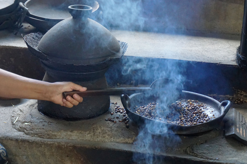 Επίσκεψη σε φυτεία καλλιέργειας καφέ