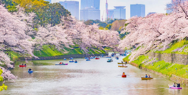 Το Αυτοκρατορικό Παλάτι και το πάρκο του 