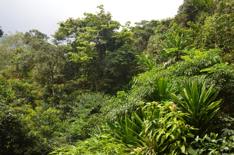 ΜΟΝΡΟΒΙΑ – ΓΙΕΚΕΠΑ: Εθνικό πάρκο