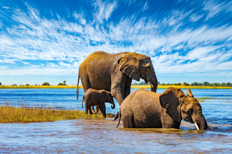 Εθνικό Πάρκο Τσόμπε, Νότια Αφρική