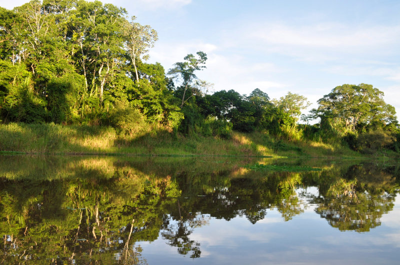 ΤΡΙΝΙΔΑΔ – ΔΡΟΜΟΣ ΤΟΥ ΔΕΛΦΙΝΙΟΥ – ΚΡΟΥΑΖΙΕΡΑ ΣΤΟΝ ΠΟΤΑΜΟ ΙΜΠΑΡΕ – ΣΑΝ ΚΑΡΛΟΣ – ΤΡΙΝΙΔΑΔ