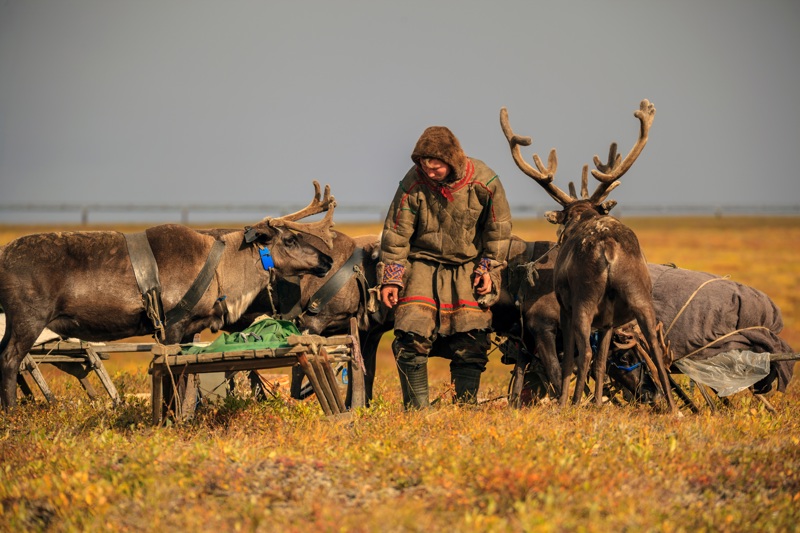 Χωριό του Αγίου Βασίλη, Ροβανιέμι