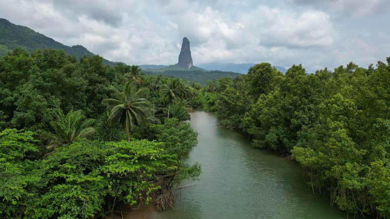 Πλωτή εκδρομή στα τροπικά μαγκρόβια