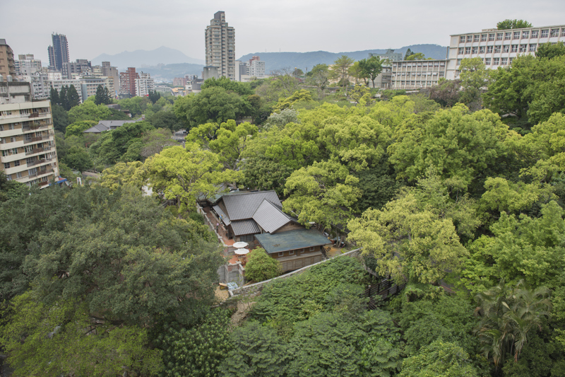 Το εντυπωσιακό Δεντρόσπιτο της Ανπίνγκ