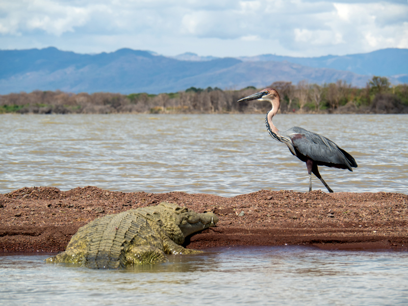 ΑΡΜΠΑ ΜΙΝΤΣ – Βαρκάδα στη λίμνη ΤΣΑΜΟ – πτήση για ΑΝΤΙΣ ΑΜΠΕΜΠΑ – πτήση επιστροφής 
