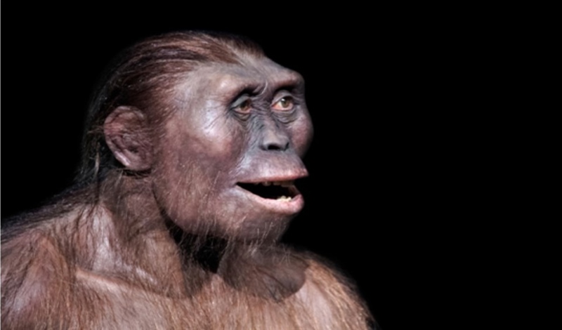 Ανακαλύψτε τα ίχνη του Homo Sapiens