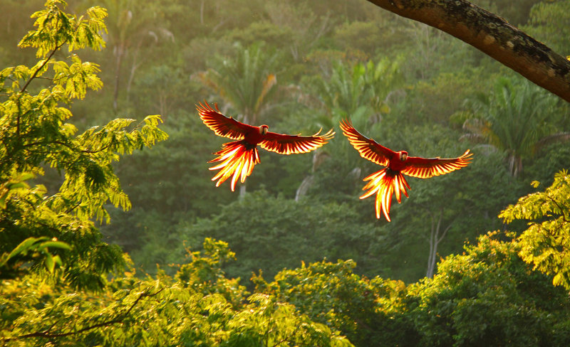 Η Κόστα Ρίκα 