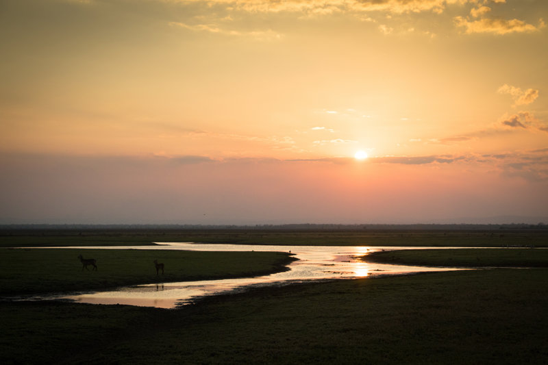 ΕΘΝΙΚΟ ΠΑΡΚΟ ΓΚΟΡΟΝΓΚΟΣΑ: Πρωινό & απογευματινό σαφάρι 