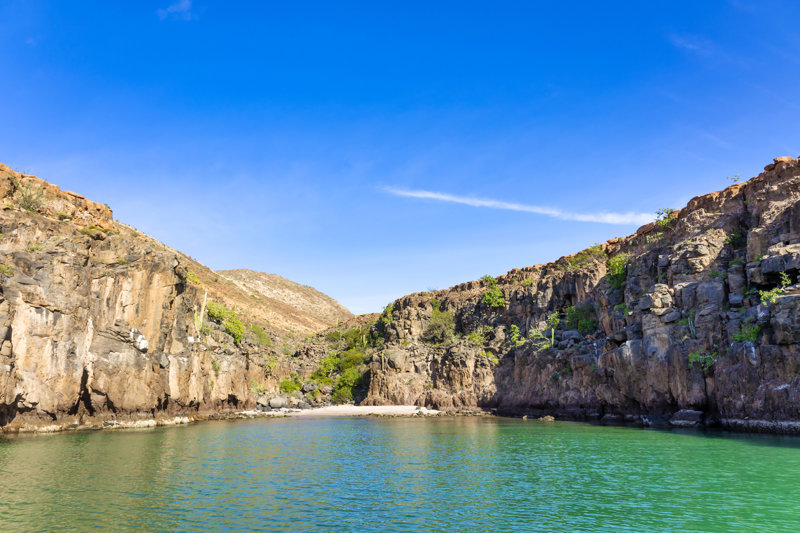ΛΑ ΠΑΖ (Προαιρετική Εκδρομή στο Νησί Εσπίριτου Σάντο ή Γνωριμία με φαλαινοκαρχαρίες)