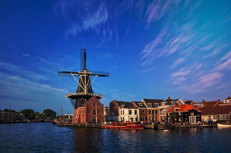 Χάρλεμ, η πόλη των λουλουδιών