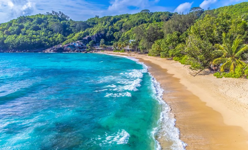 ΜΑΧΕ (ελεύθερη ημέρα)