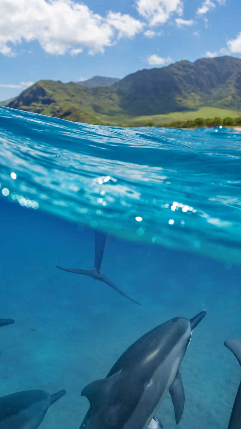 Διαμονή στη Ρεϋνιόν