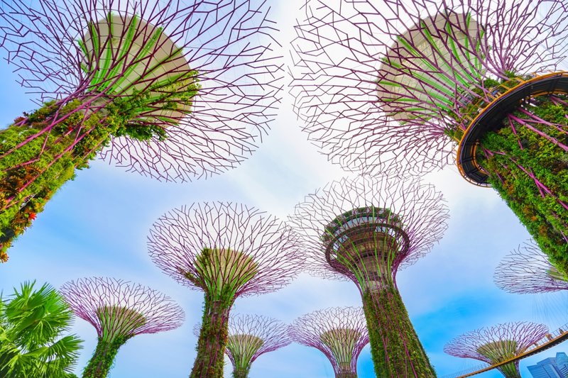 ΣΙΓΚΑΠΟΥΡΗ – ΠΤΗΣΗ ΕΠΙΣΤΡΟΦΗΣ 