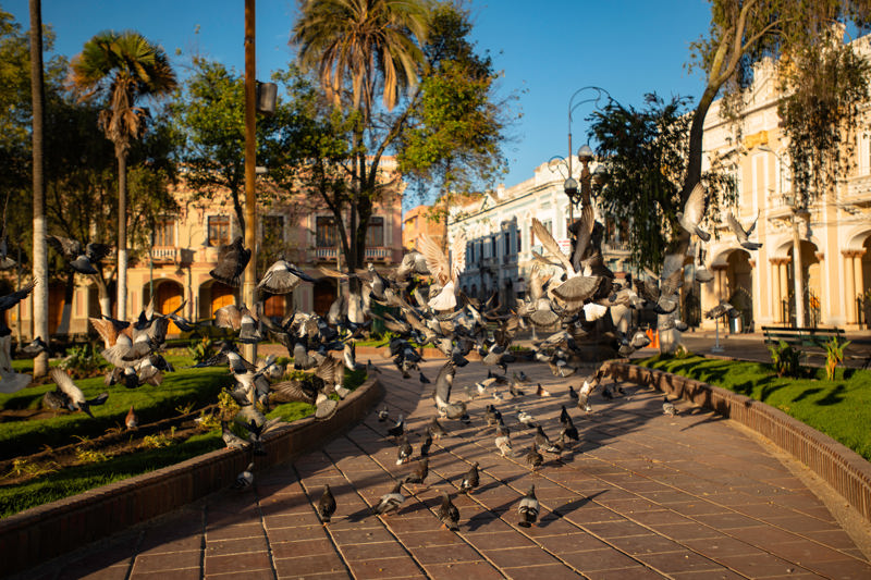 Η γραφική Ριομπάμπα