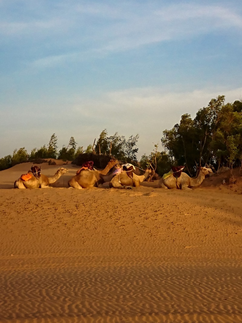 Διαμονή στην έρημο της Σενεγάλης, μια νύχτα κάτω από τα αστέρια