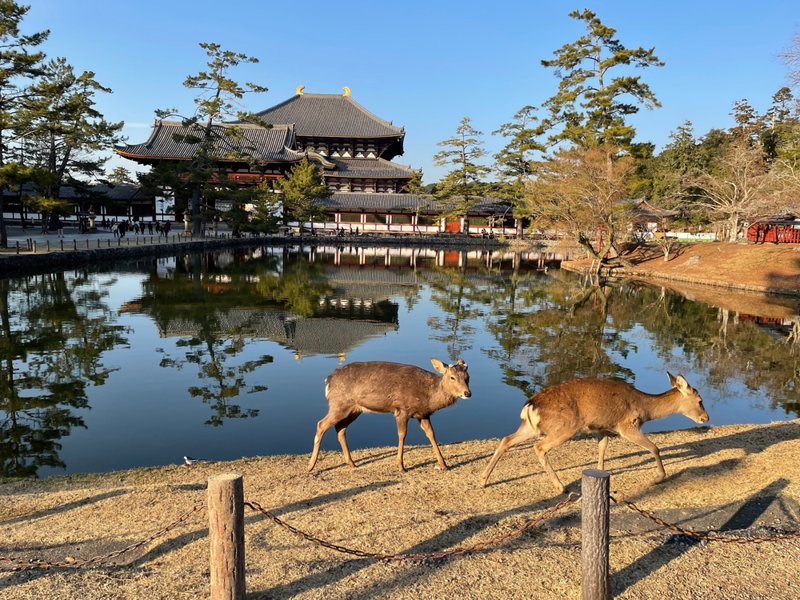 Η ιερή πόλη Νάρα
