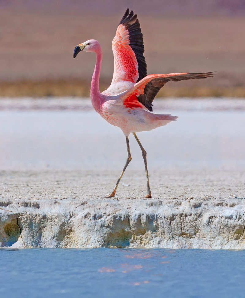 Θαυμάζουμε το Εθνικό Πάρκο Αβαρόα