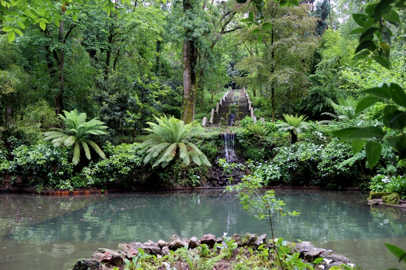 Επίσκεψη στον Εθνικό Δρυμό Μπουσάκο