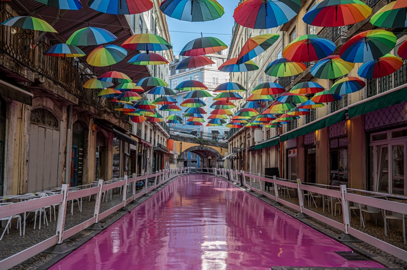 Εξειδικευμένος αρχηγός - ξεναγός