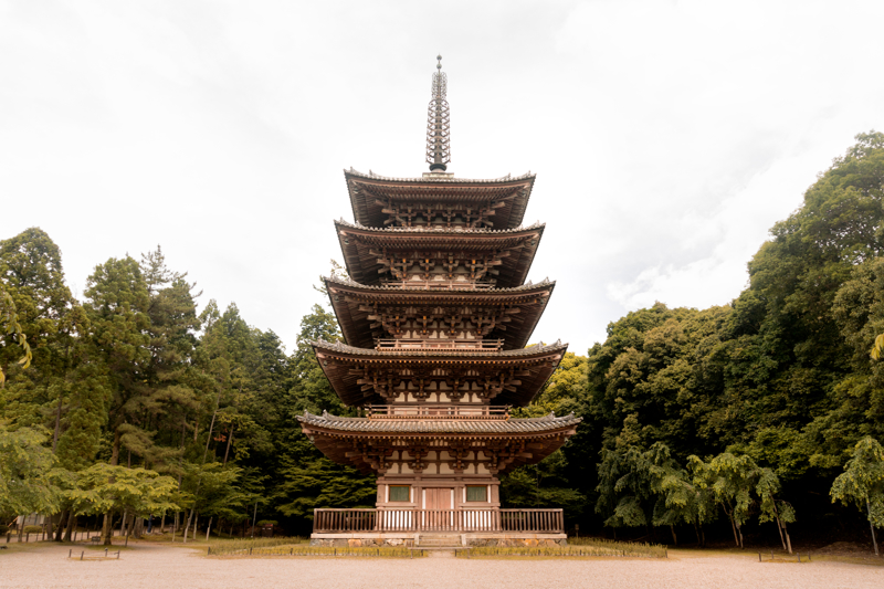 «Τελετή του τσαγιού», αποκλειστικά στο πρόγραμμά μας.