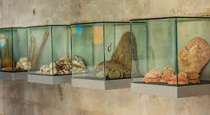 Το μουσείο του Ελ Μπρούχο 