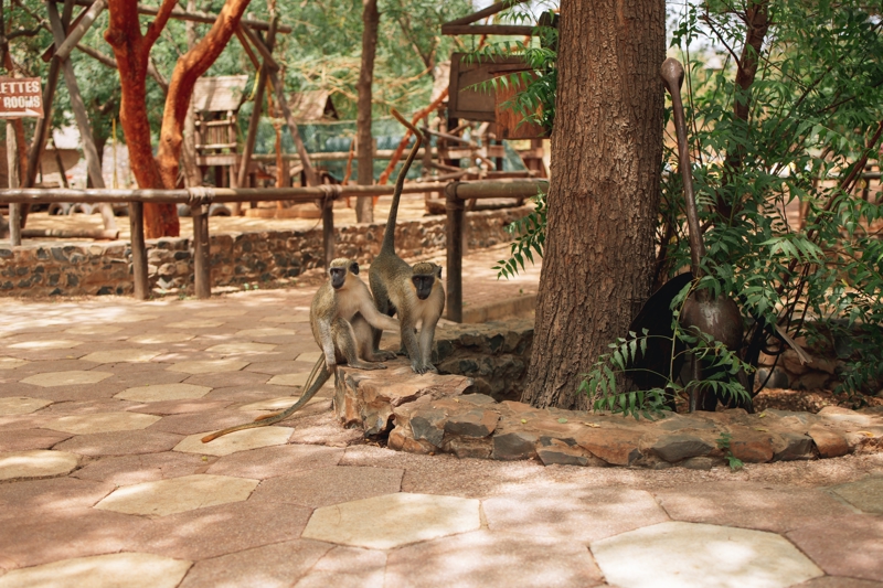 Μπάντια, Ντακάρ