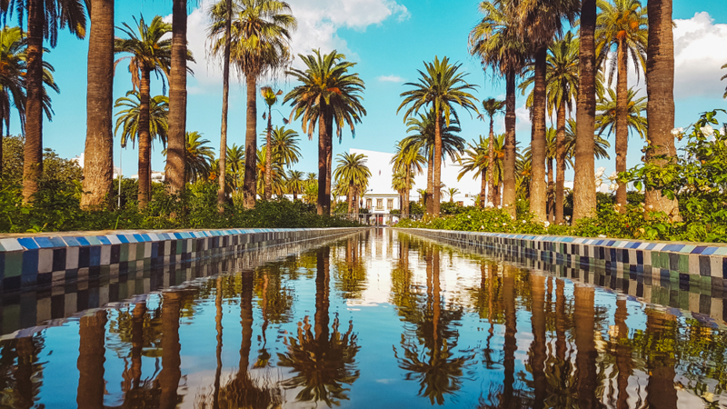 Ξενάγηση στην πόλη