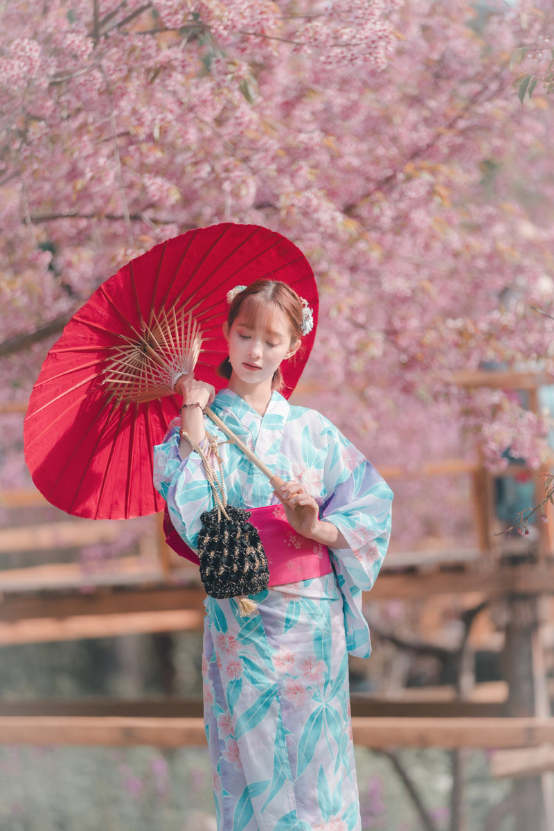 Θαυμάστε το υπερθέαμα των ανθισμένων κερασιών! 