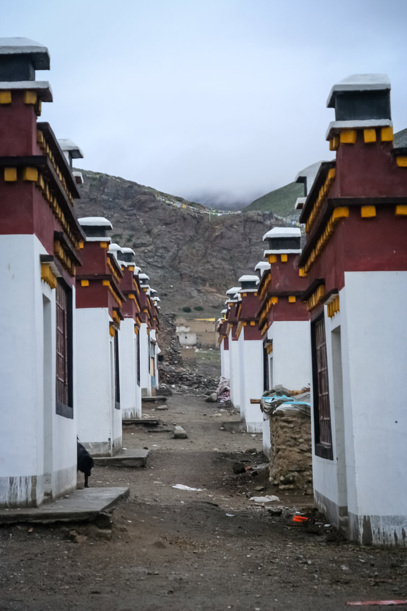 ΝΤΑΡΤΣΕΝ – ΤΟΛΙΝΓΚ