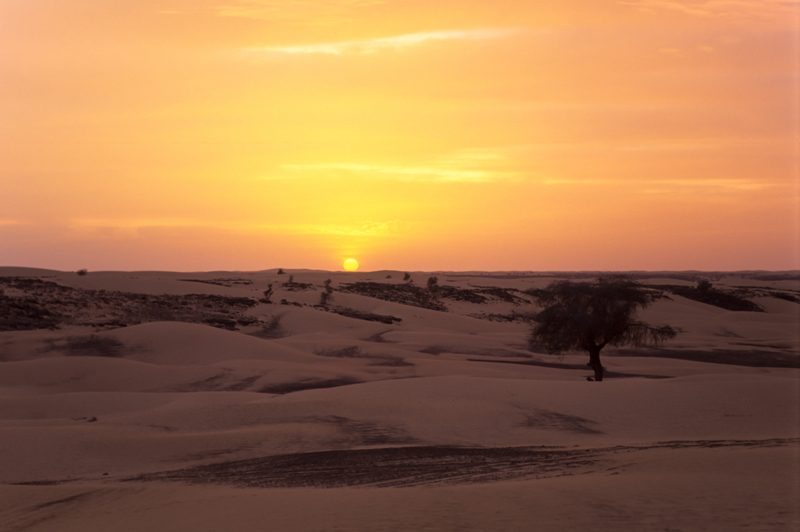 Η γραφική όαση Τινισέρ