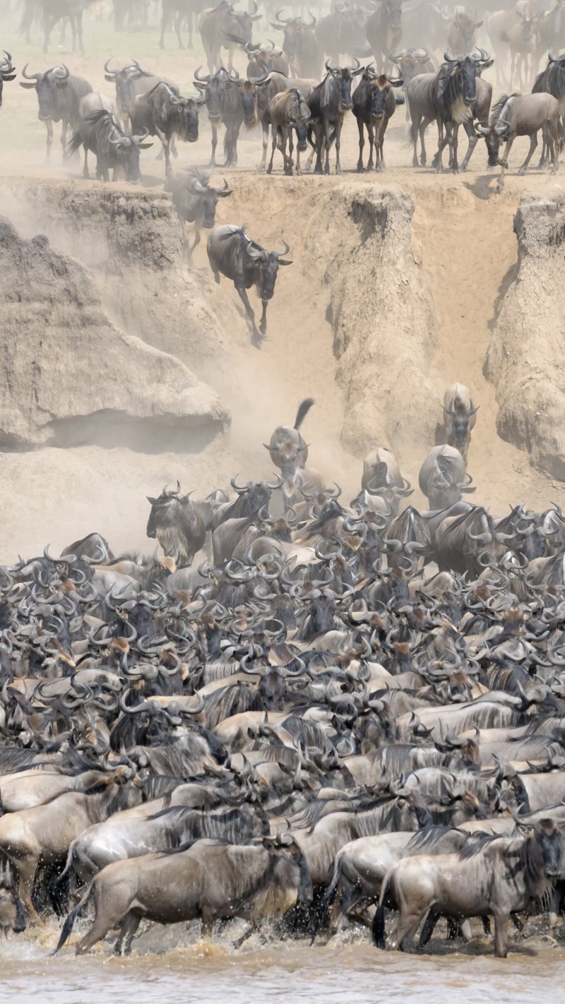 Εξερεύνηση της περιοχής του Εθνικού Πάρκου Σερενγκέτι