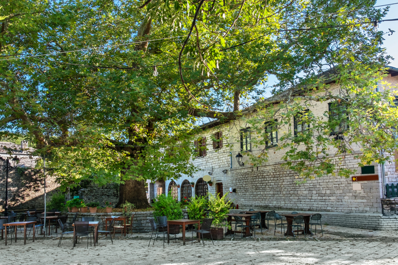 Yπέροχη Βίτσα, προνομιακό Μονοδένδρι