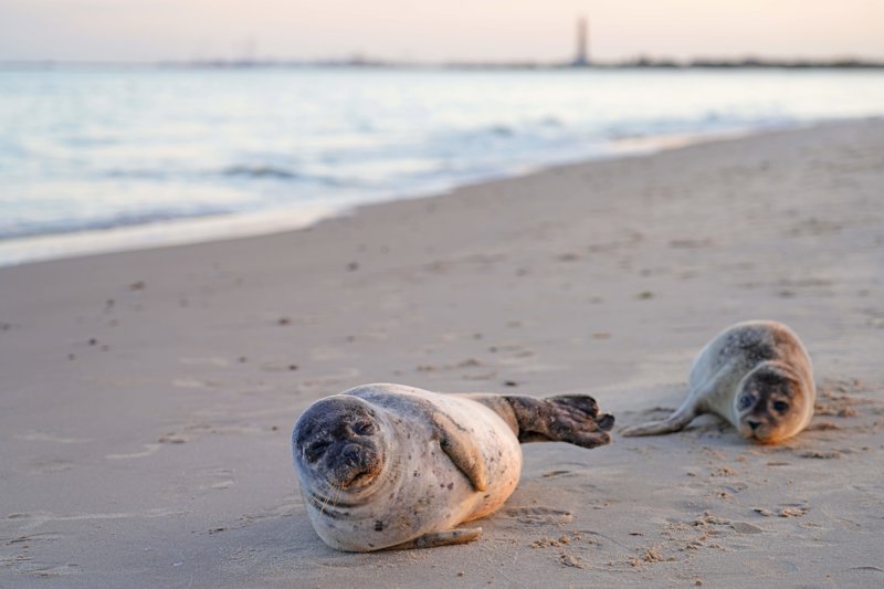Επίσκεψη στο Γκρένεν