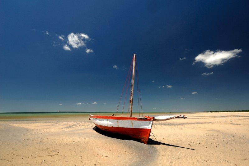 ΜΑΠΟΥΤΟ - ΠΤΗΣΗ ΕΠΙΣΤΡΟΦΗΣ