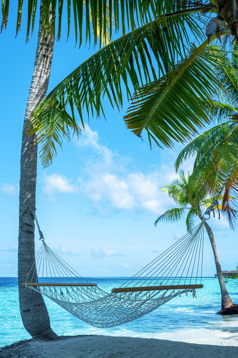 Η απόλυτη εξωτική εμπειρία!