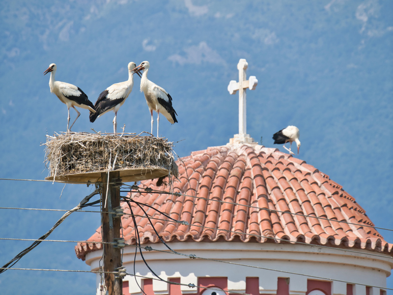 Το υπέροχο Ακριτοχώρι