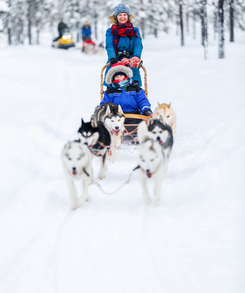 Σαφάρι με έλκηθρο