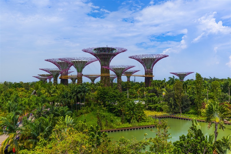 Οι φουτουριστικοί κήποι «gardens by the bay» στη Σιγκαπούρη