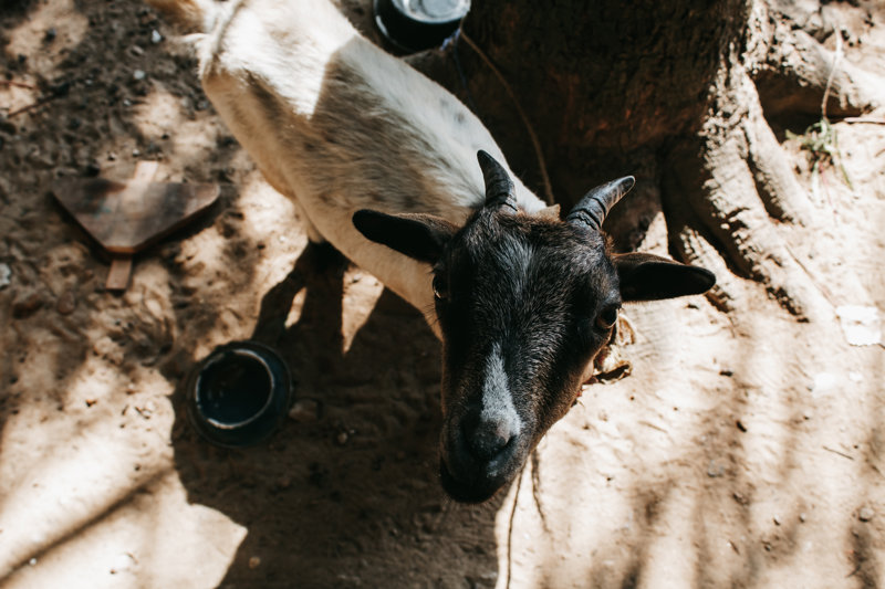 ΚΕΝΕΜΑ: Εξερεύνηση ορυχείων – ΜΠΟ 