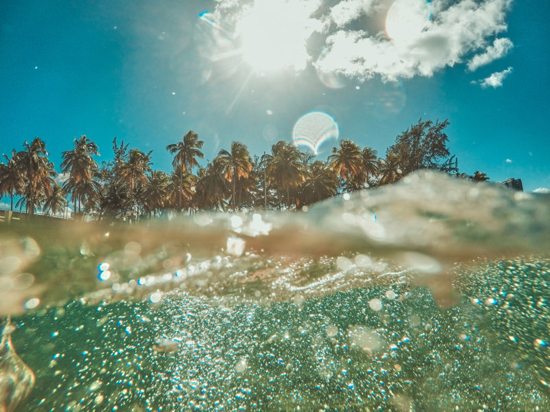 Σνόρκελινγκ και μπάνιο στον τροπικό παράδεισο του Πουέρτο Ρίκο