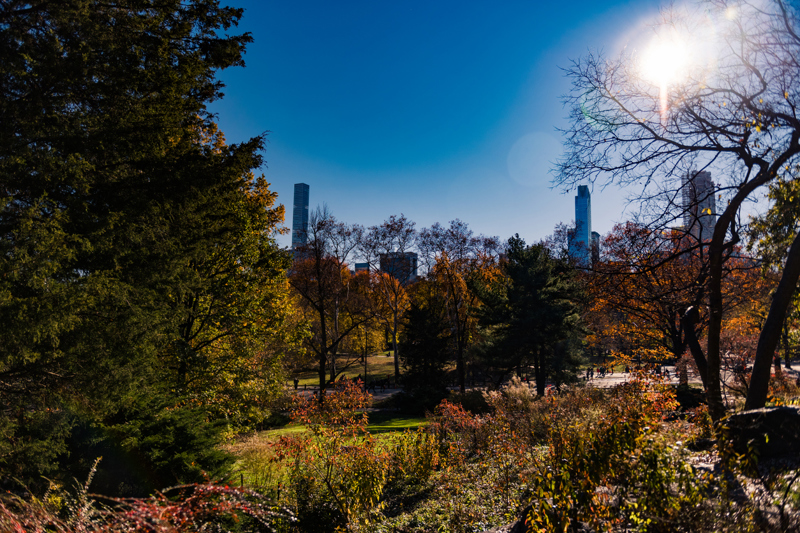 Το Μπράιντ Παρκ