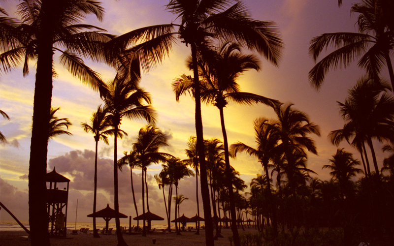 Πλήρης διατροφή